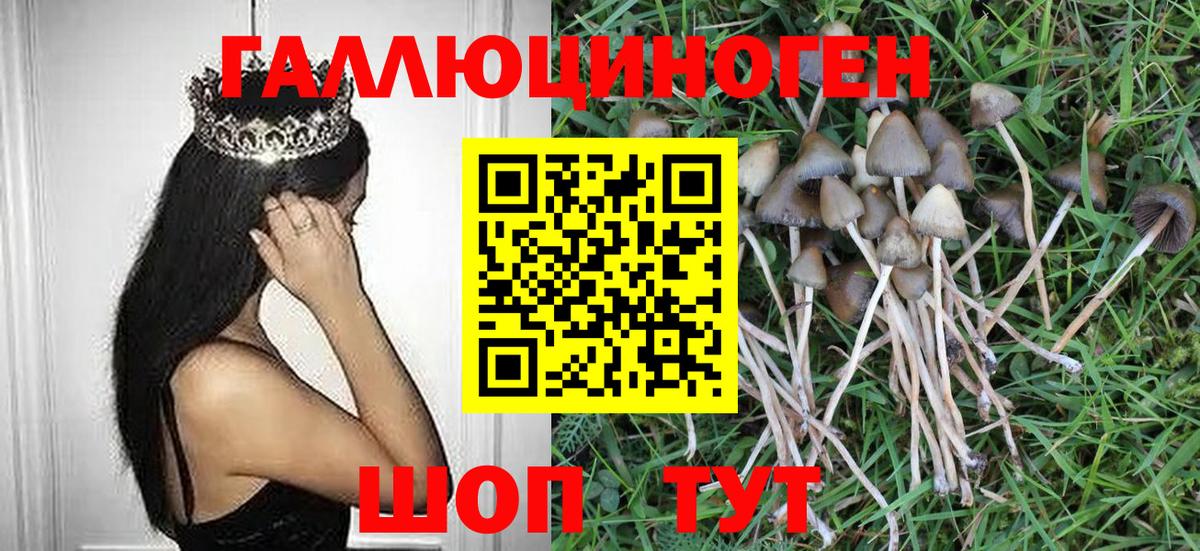 Галлюциногенные грибы Psilocybine cubensis  Вход с VPN  Дедовск 