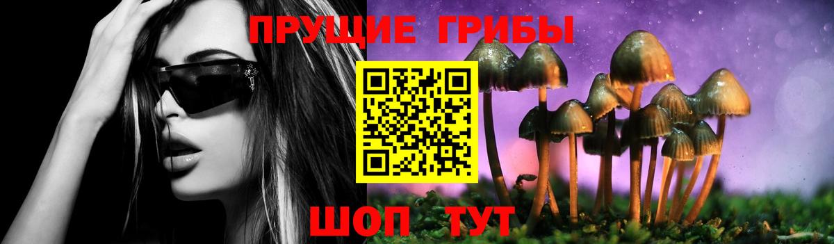 Галлюциногенные грибы прущие грибы Дедовск